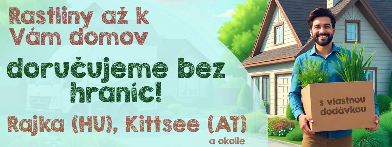 Rastliny bez hraníc, doručujeme až k Vám domov - Rajka, Kittsee a okolie